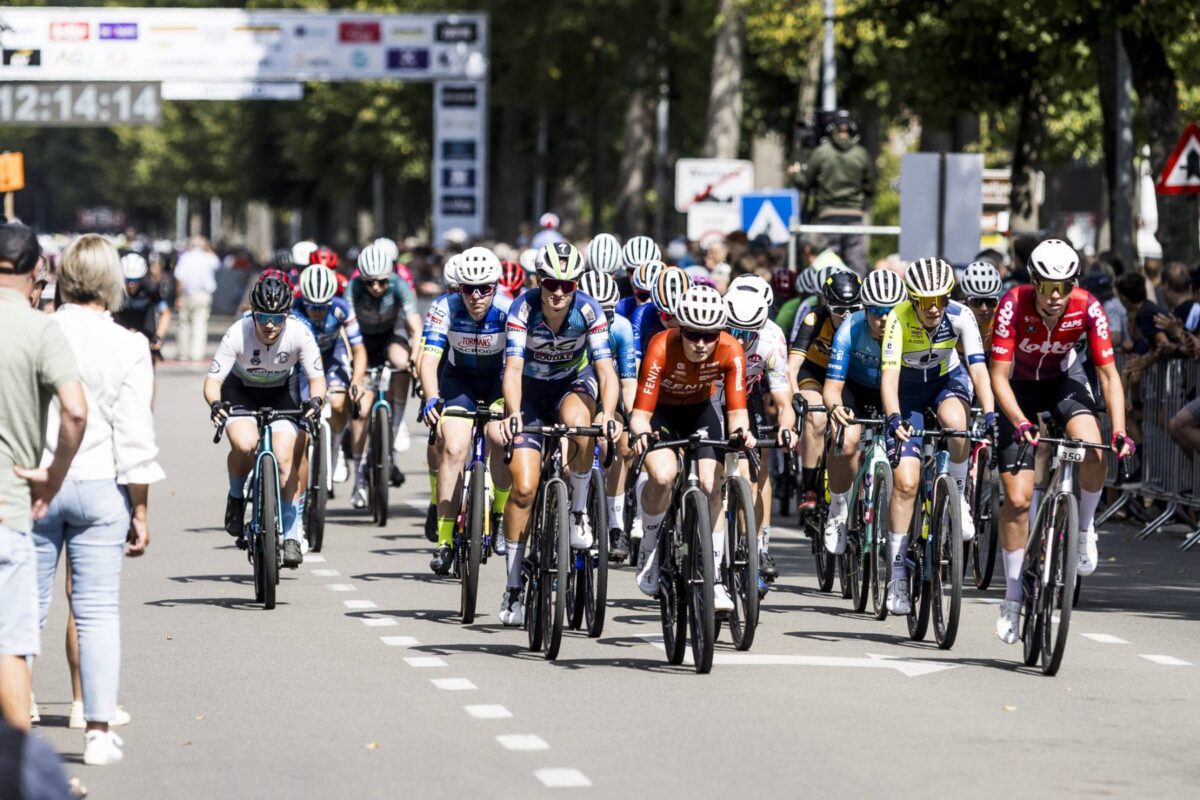 VELUX Expert - ConfiGo