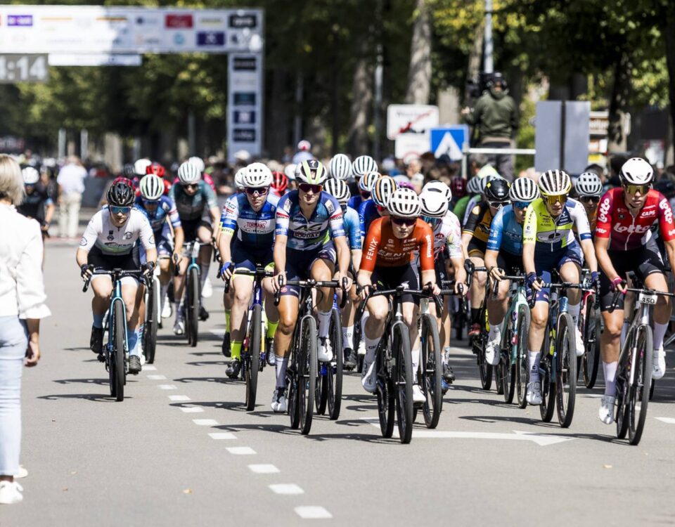 VELUX Expert - ConfiGo