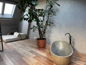 VELUX dakramen
