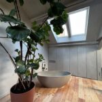 VELUX dakramen