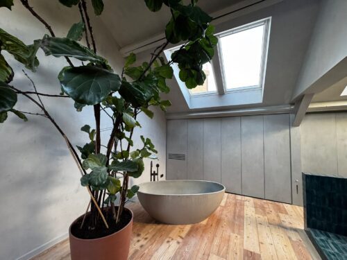 VELUX dakramen
