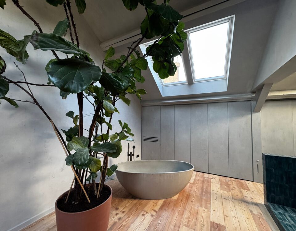 VELUX dakramen